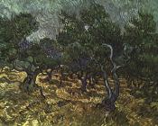 橄榄树 - 文森特·威廉·梵高